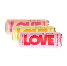 Protein Variety 6-Pack flavor can image
